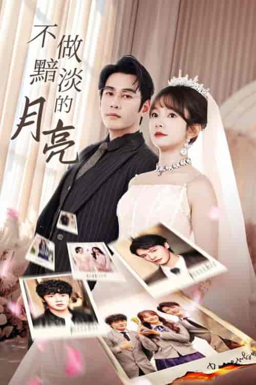 不做黯淡的月亮（33集全）-搜外项目网