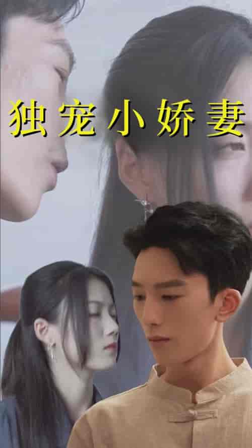 独宠小娇妻（101集全）-搜外项目网