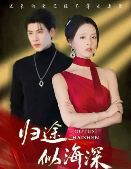 归途似海深（61集全）刘蔓莉＆王为洋-搜外项目网