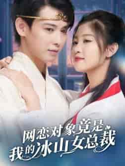 网恋对象竟是我的冰山女总裁（54集全）刘盈 穆青-搜外项目网
