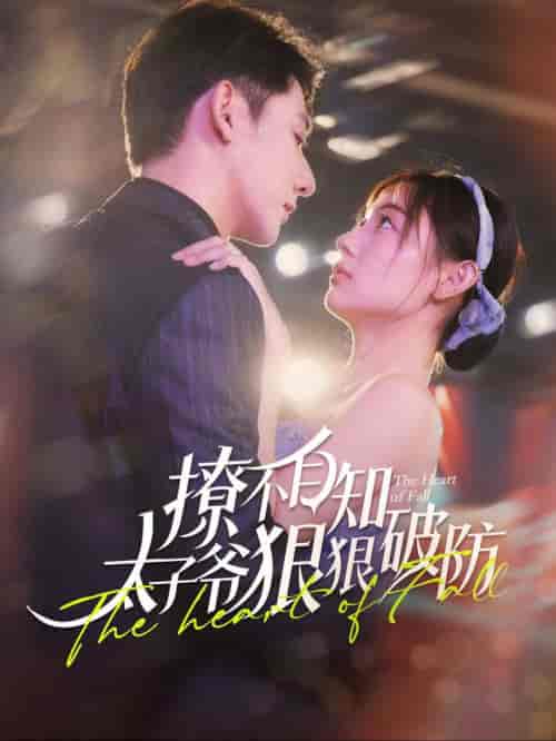 撩不自知太子爷狠狠破防(100集全)于叔&李田园-搜外项目网