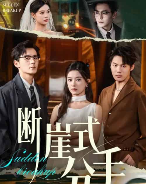 断崖式分手（63集全）余沛杉＆王宇婧-搜外项目网