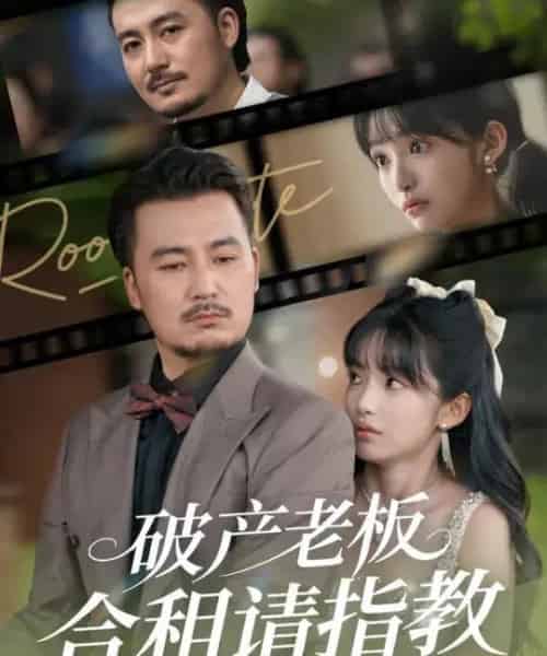 破产老板合租请指教 （69集全） 陈贤宇＆张紫璇-搜外项目网