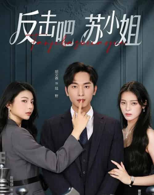 反击吧！苏小姐（63集全）曹若彤＆胡文森-搜外项目网