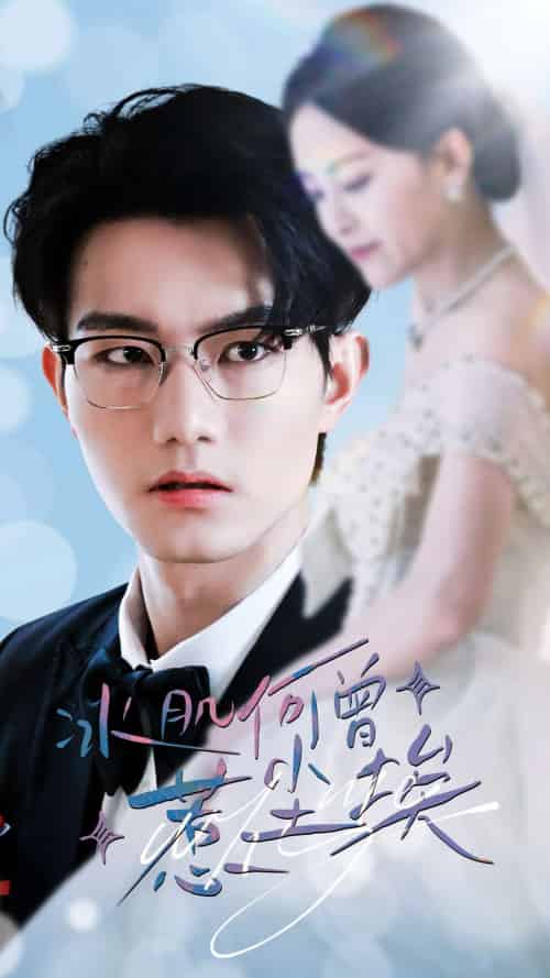 冰肌何曾惹尘埃（60集全）伍怡-搜外项目网