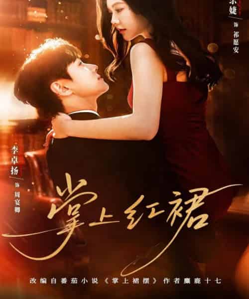 掌上红裙（60集全）马乐婕＆李卓扬-搜外项目网