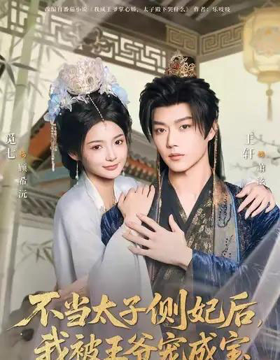 不当太子侧妃后，我被王爷宠成宝（80集全）觅七＆王轩-搜外项目网