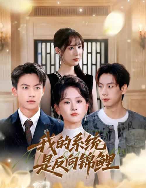 我的系统是反向锦鲤（80集全）苏霖＆刘相奇-搜外项目网