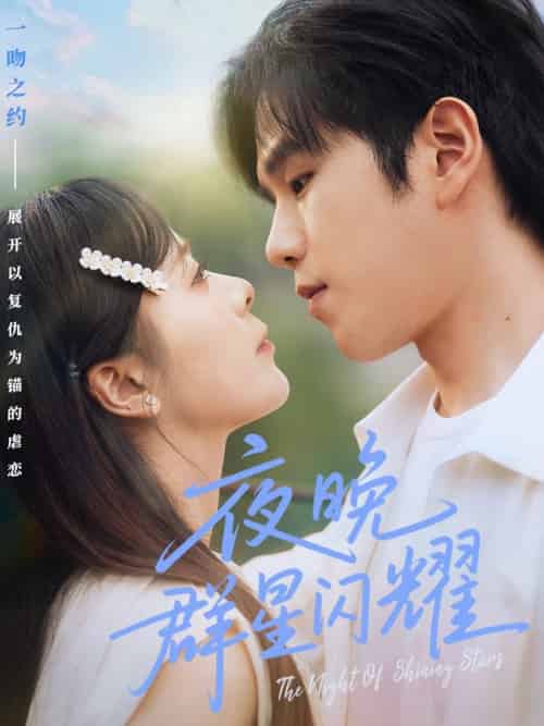 夜晚群星闪耀（70集全）罗嘉麒＆包颜萁-搜外项目网