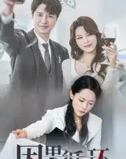 因果循环（45集全）崔永炫＆李曼-搜外项目网