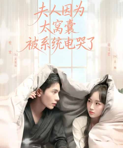 夫人因为太窝囊被系统电哭了(77集全)杜梵&席文君-搜外项目网