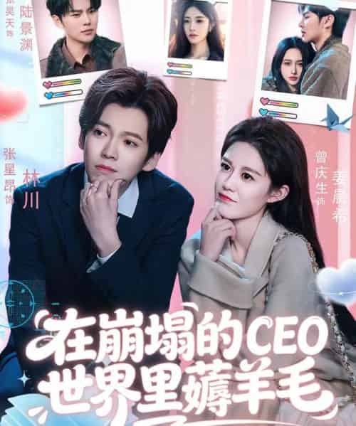 在崩塌的CEO世界里薅羊毛（70集全）张星昂＆曾庆生-搜外项目网