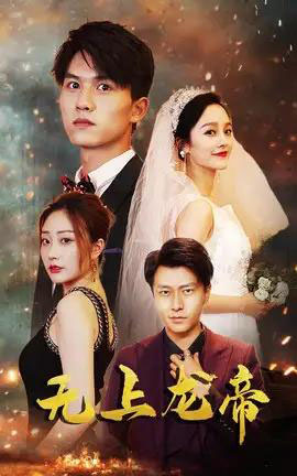 无上龙帝(63集全)李胜楠&莫文卓-搜外项目网