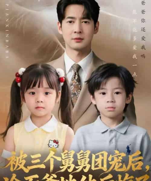 被三个舅舅团宠后,冷面爹地他后悔了(72集全)丁映智&贺颖怡-搜外项目网