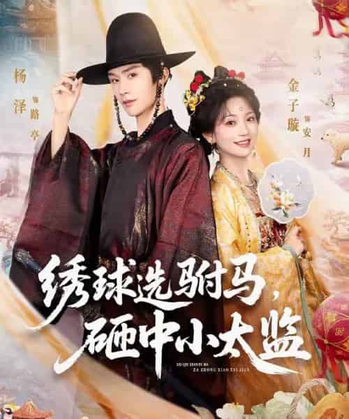 绣球选驸马,砸中小太监(81集全)杨泽&金子璇-搜外项目网