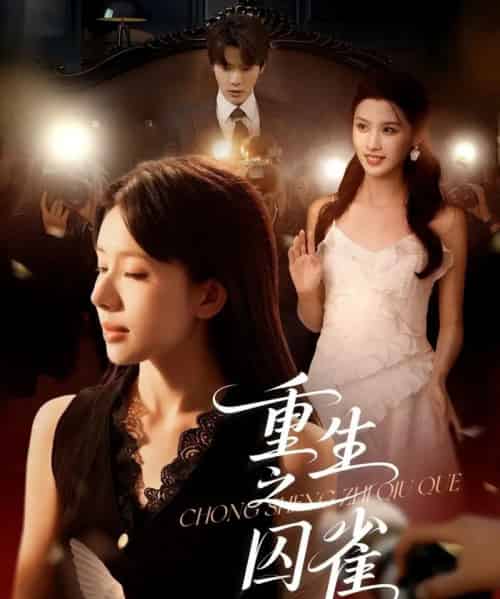 重生之囚雀(75集)张萓紘&蒋开鑫-搜外项目网