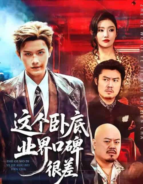 这个卧底业界口碑很差（84集全）王宇峰＆骆虹宇-搜外项目网