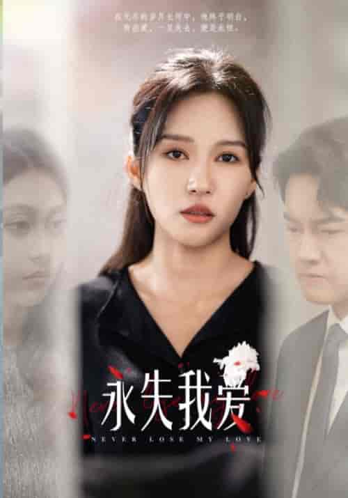 永失我爱（45集全）-搜外项目网