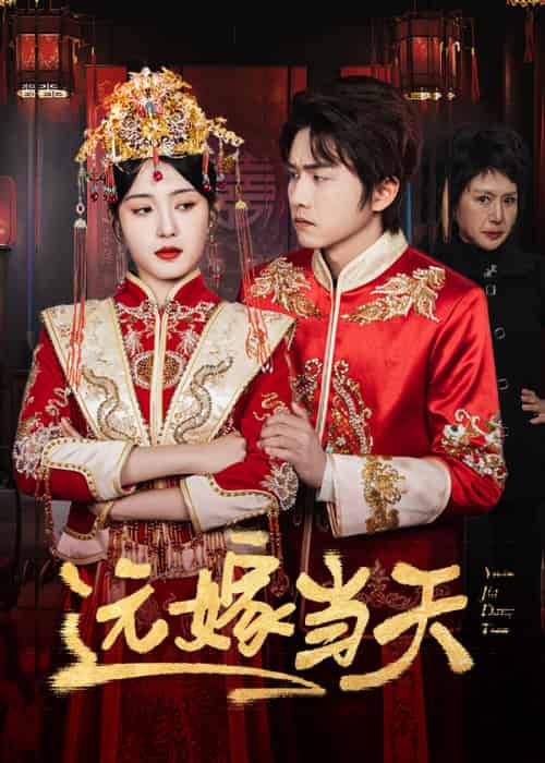 远嫁当天（46集）宋暖-搜外项目网