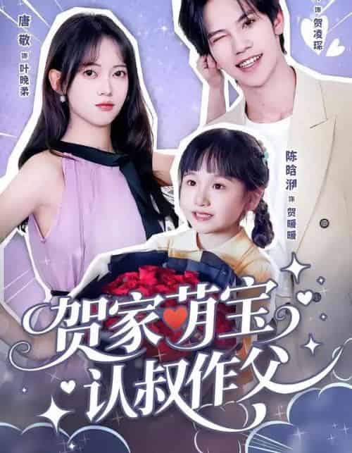 贺家萌宝认叔作父(70集全)马法洋&唐敬-搜外项目网