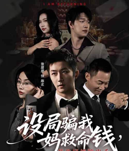 设局骗我妈救命钱,我选择摊牌出手&封牌时刻(65集全)椿添&张层层-搜外项目网