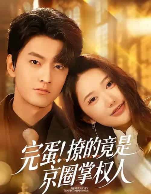 完蛋！撩的竟是京圈掌权人（72集全）屈扬＆李歆桐-搜外项目网