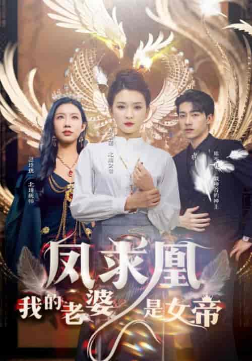 凤求凰我的老婆是女帝(97集)杨洁&李可馨-搜外项目网
