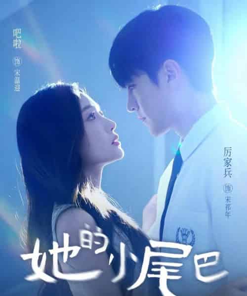 她的小尾巴（80集全）吧啦＆厉家兵-搜外项目网