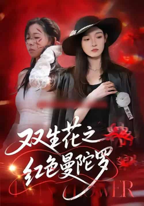 双生花之红色曼陀罗（74集全）李羽桐＆王雅清-搜外项目网
