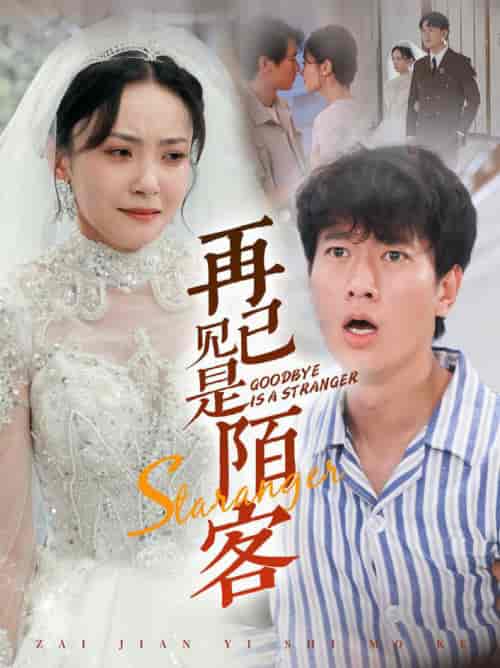 再见已是陌客&归来的星光(55集全)张子安-搜外项目网