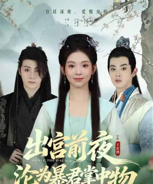 出宫前夜沦为暴君掌中物（57集全）李汐溦＆强宇-搜外项目网