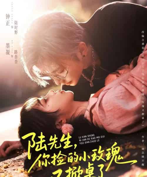 陆先生,你捡的小玫瑰又掀桌了(74集全)钟正&墨凝-搜外项目网