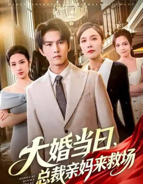 大婚当日,总裁亲妈来救场(81集全)梅瑞滢&莫书铭&李梦泽-搜外项目网