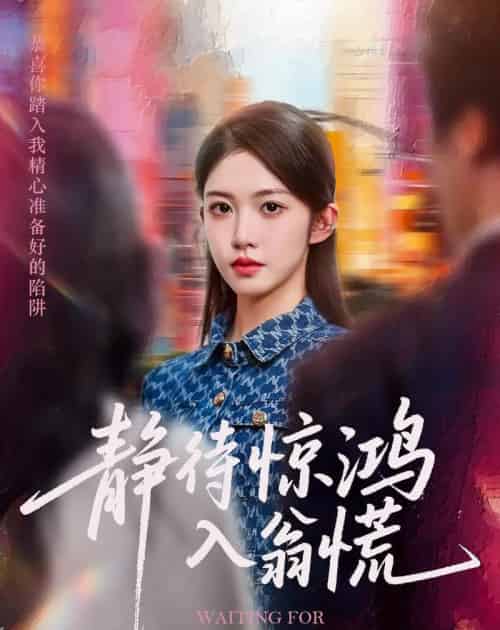 静待惊鸿入翁慌（40集）陈雷雷＆吴毅非-搜外项目网