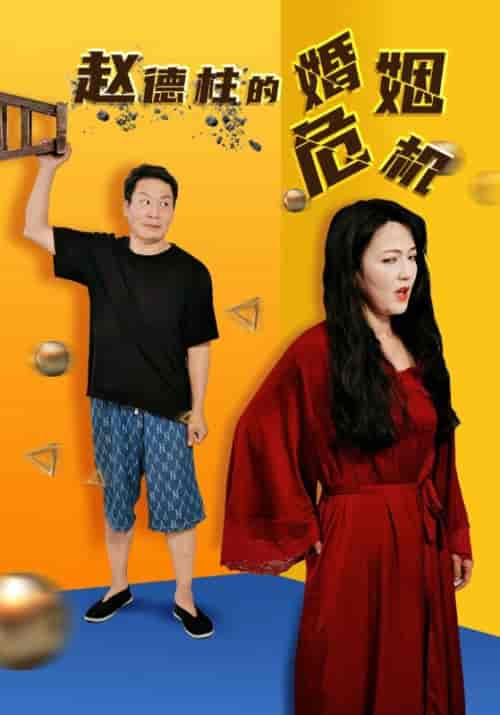 赵德柱的婚姻危机(35集)刘允乐-搜外项目网