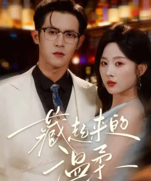 藏起来的温柔(75集全)邵之鹏&阮思瑶-搜外项目网