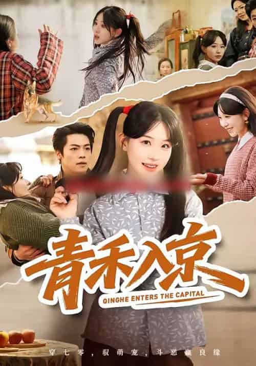 青禾入京（60集全）于忻＆仇赫-搜外项目网