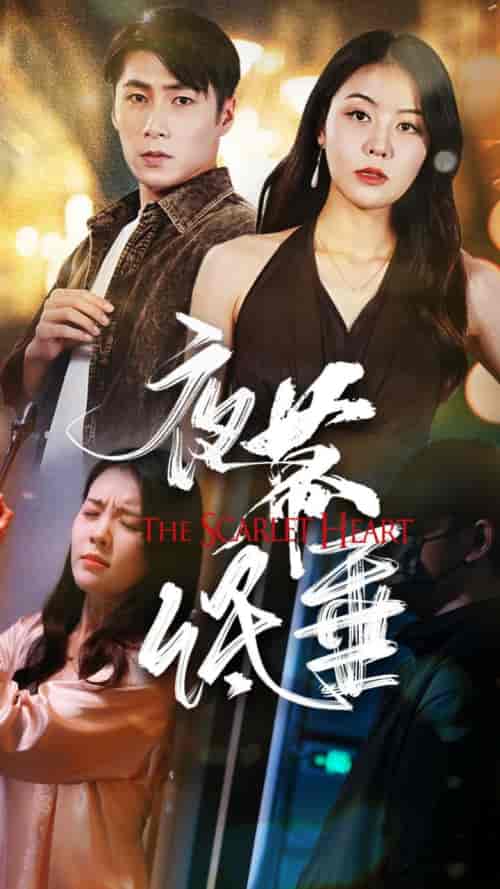 夜幕低垂（37集全）-搜外项目网