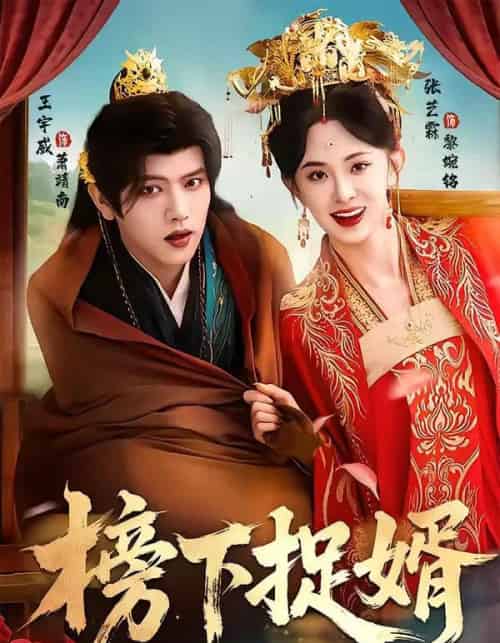 榜下捉婿（82集全）王宇威＆张艺霖-搜外项目网