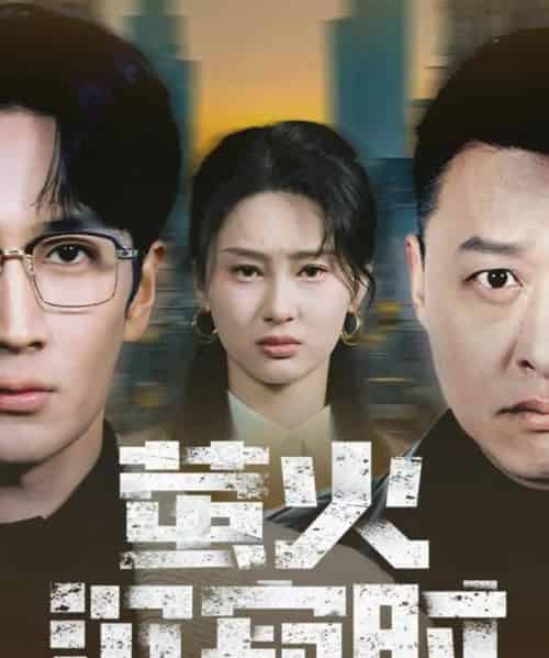 萤火沉寂时（60集全）闫海明＆赵慧鑫-搜外项目网