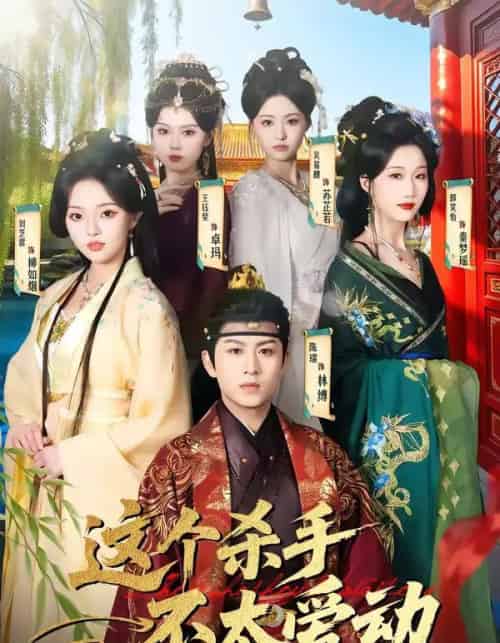 这个杀手不太爱动(69集全)陈瑞&刘芝霏-搜外项目网