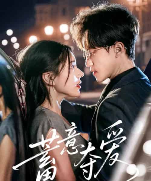 蓄意夺爱（60集）李永臻＆陈春娇-搜外项目网