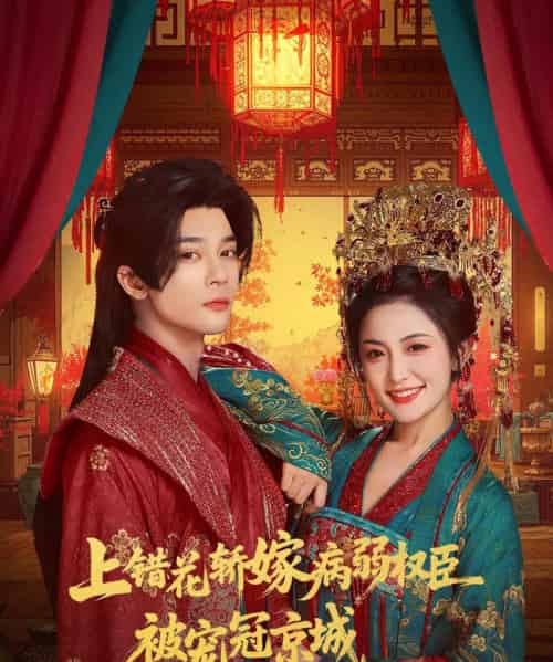 上错花轿嫁病弱权臣被宠冠京城(80集全)李俊辰&雷笑语-搜外项目网