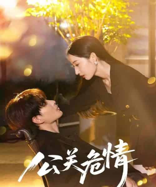 公关危情(60集)郭嘉琦&徐忠慧-搜外项目网