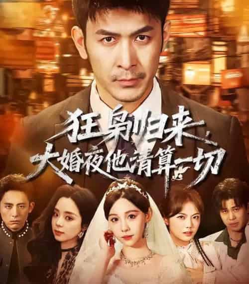 狂枭归来,大婚夜他清算一切(64集全)于跃&王雅清-搜外项目网