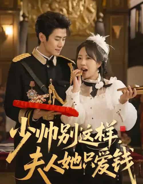 少帅别这样，夫人她只爱钱（100集全）霍星宇＆彭丹丹-搜外项目网