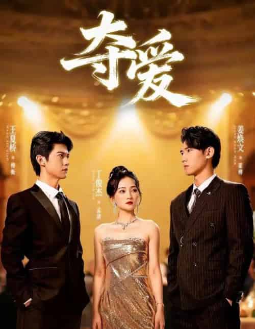 夺爱（55集全）丁俊杰＆姜焕文-搜外项目网