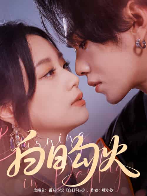 白日勾火(105集)叶皓然&王小亿-搜外项目网