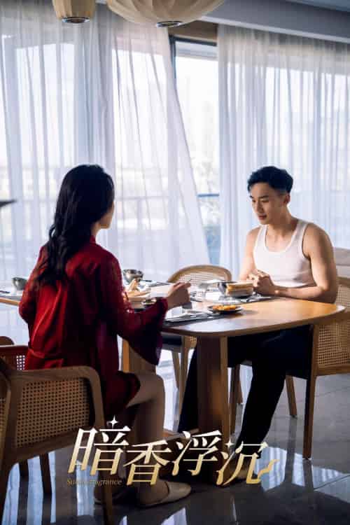 暗香浮沉（51集）喻浩洋＆孙梦蝶-搜外项目网