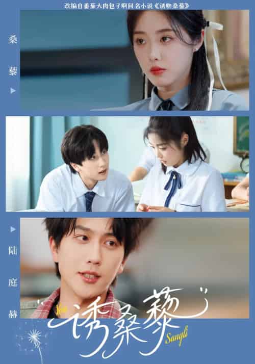 诱桑藜(83集)墨凝&宋宇博-搜外项目网